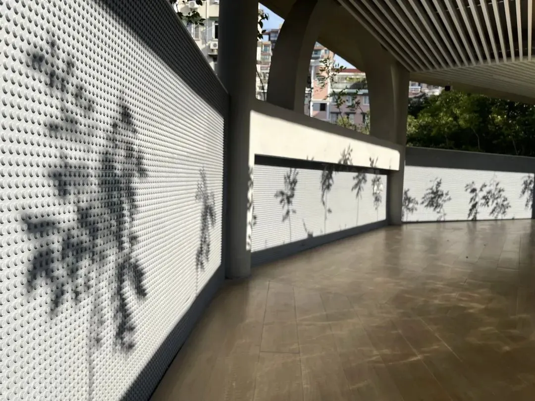 如何在有限时间内最大化篮球训练效果的策略_2