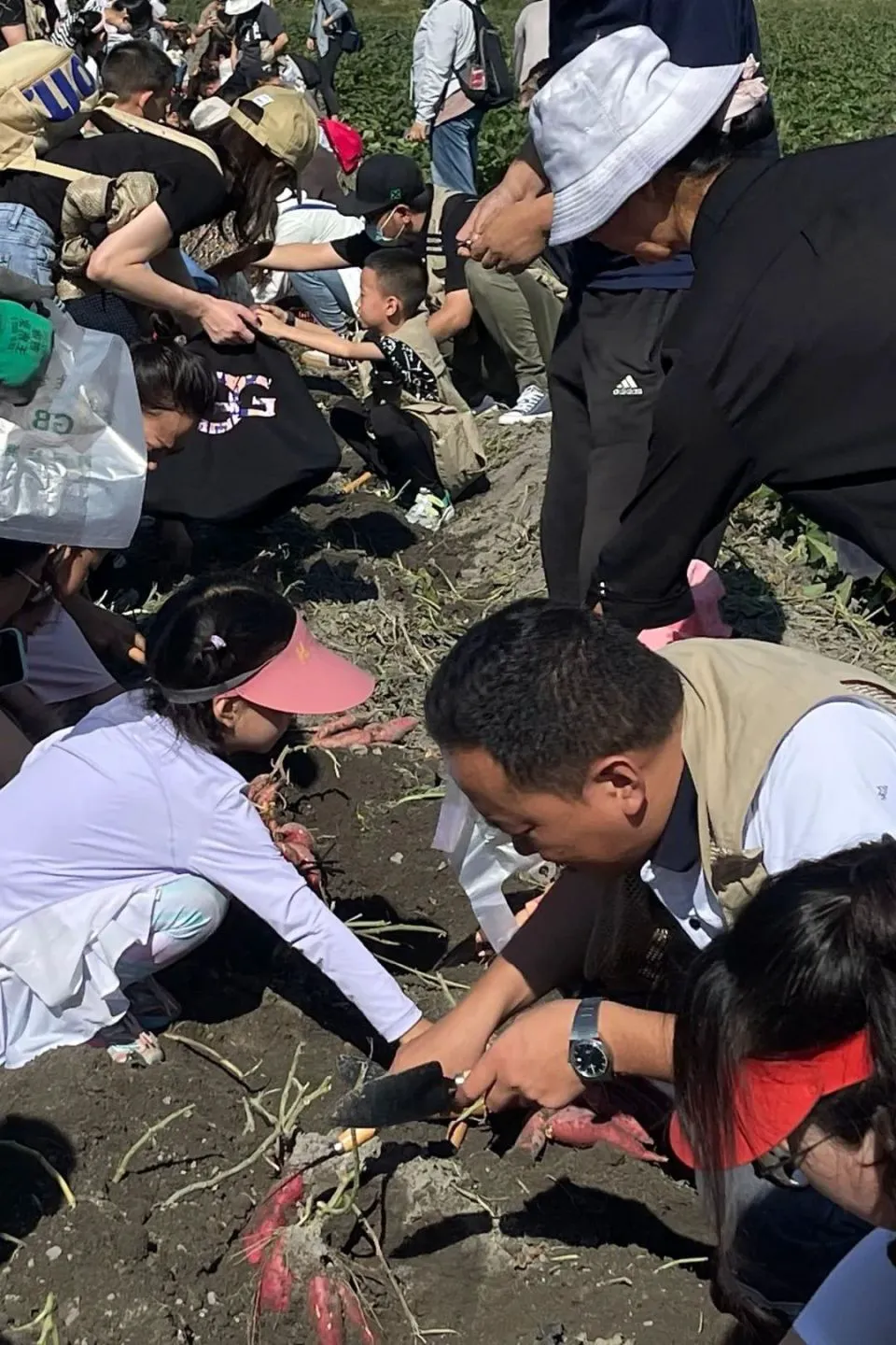 如何制定智能篮球训练计划_2