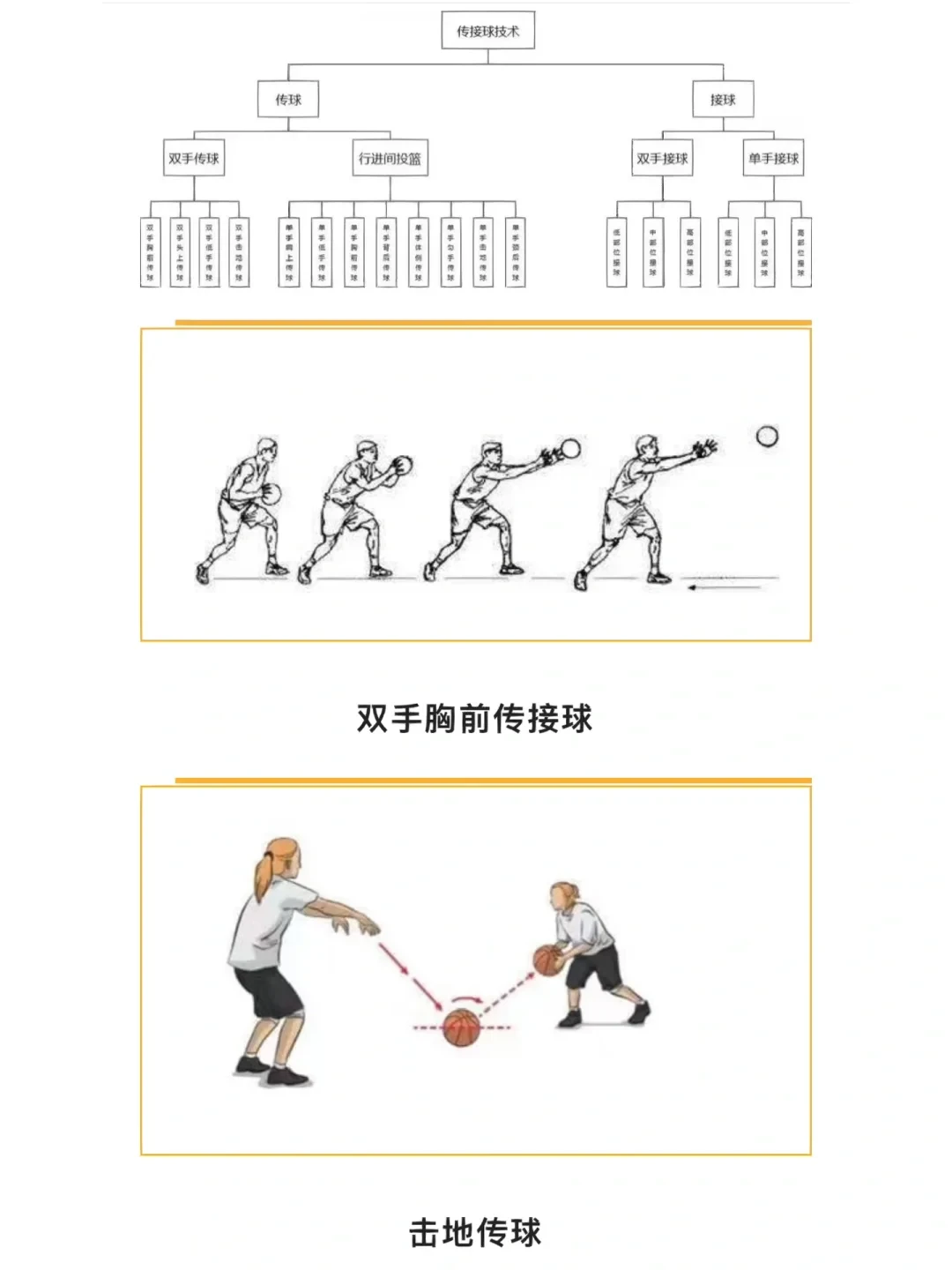 初学者如何快速掌握篮球传球技巧？