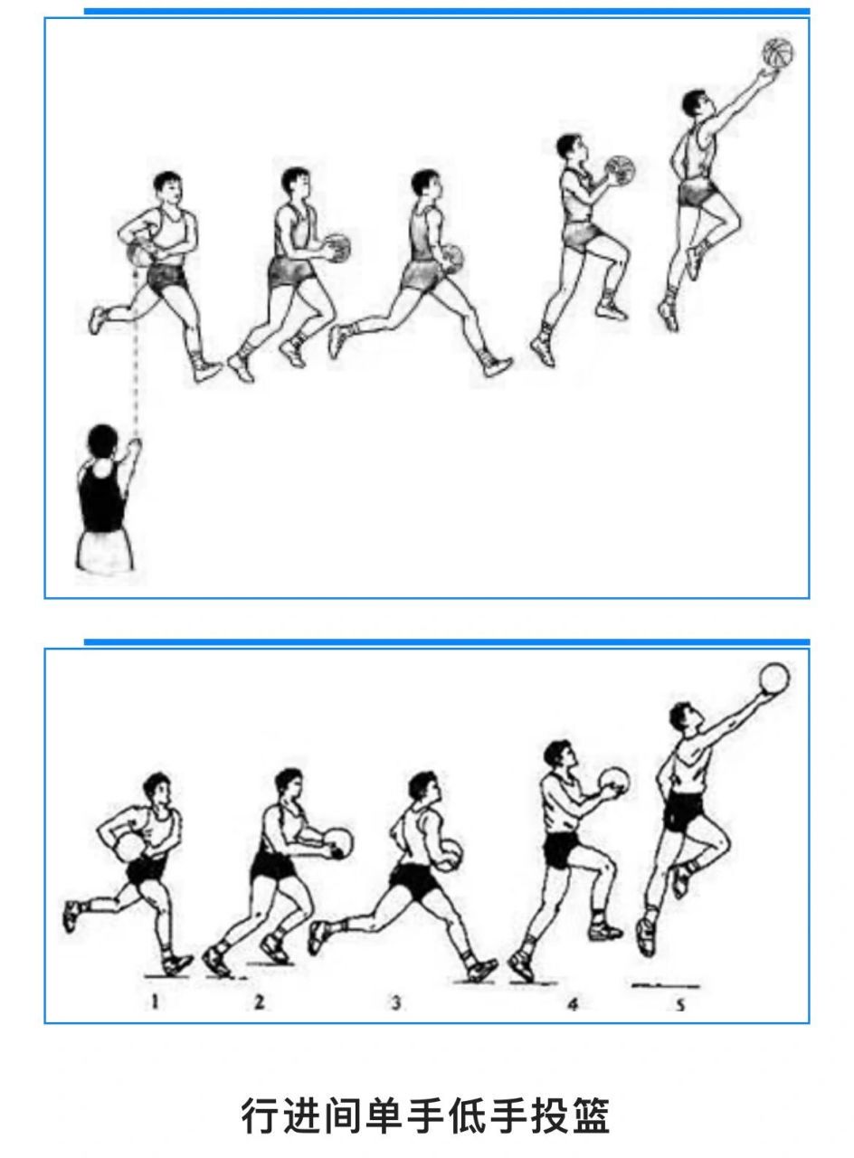 篮球训练基本动作有哪些内容呢图片