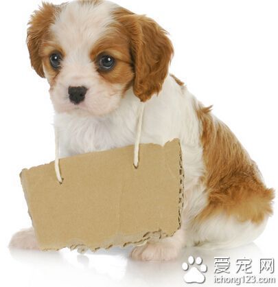 老年篮球爱好者如何练习控卫技巧_1